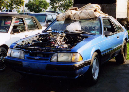 Mustang